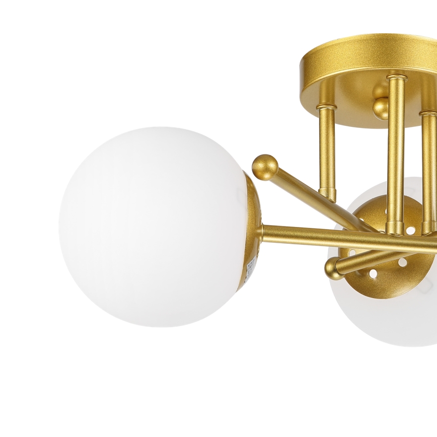 Brilagi - Lustră aplicată MALIVA 3xE14/15W/230V auriu/alb