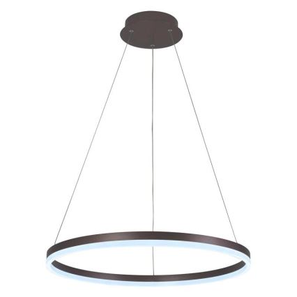 Brilagi - Lustru LED dimabil suspendat pe cablu CIRCLE LED/42W/230V 3000-6500K Ø 60 cm maro + telecomandă