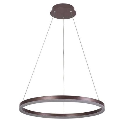 Brilagi - Lustru LED dimabil suspendat pe cablu CIRCLE LED/42W/230V 3000-6500K Ø 60 cm maro + telecomandă