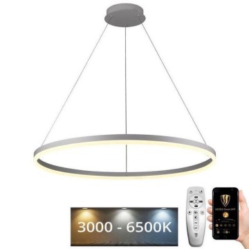 Brilagi - Lustră LED dimabilă pe cablu CIRCLE LED/55W/230V 3000-6500K Ø 80 cm albă + telecomandă