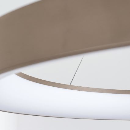 BRILAGI - lustră LED dimabilă pe cablu FALCON II LED/108W/230V 3000-6500K Ø 80 cm bej + telecomandă