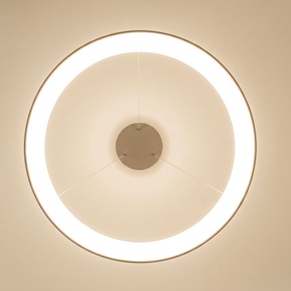 BRILAGI - lustră LED dimabilă pe cablu FALCON II LED/108W/230V 3000-6500K Ø 80 cm bej + telecomandă