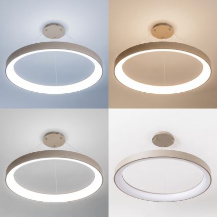 BRILAGI - lustră LED dimabilă pe cablu FALCON II LED/108W/230V 3000-6500K Ø 80 cm bej + telecomandă