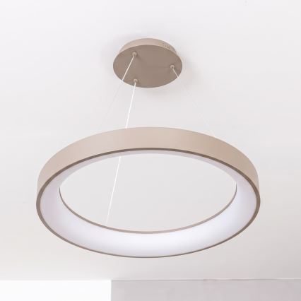 BRILAGI - LED Lustră reglabilă pe cablu FALCON II LED/99W/230V 3000-6500K Ø 60 cm bej + telecomandă
