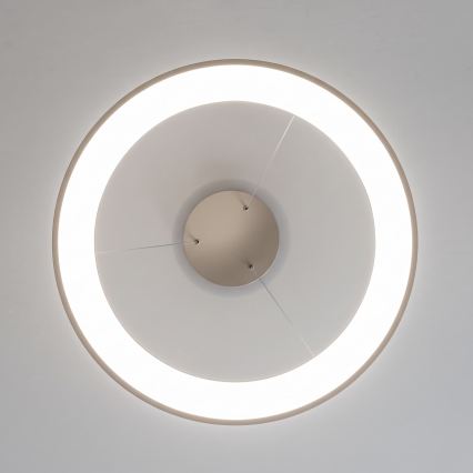 BRILAGI - LED Lustră reglabilă pe cablu FALCON II LED/99W/230V 3000-6500K Ø 60 cm bej + telecomandă