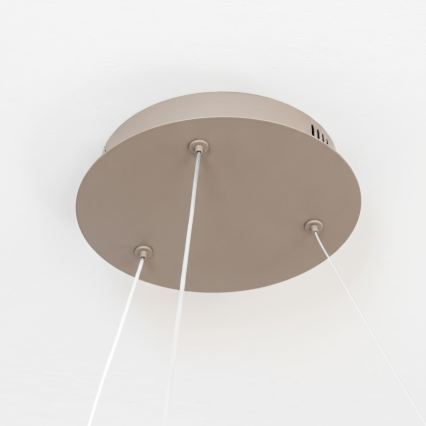 BRILAGI - LED Lustră reglabilă pe cablu FALCON II LED/99W/230V 3000-6500K Ø 60 cm bej + telecomandă