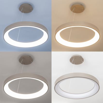 BRILAGI - LED Lustră reglabilă pe cablu FALCON II LED/99W/230V 3000-6500K Ø 60 cm bej + telecomandă