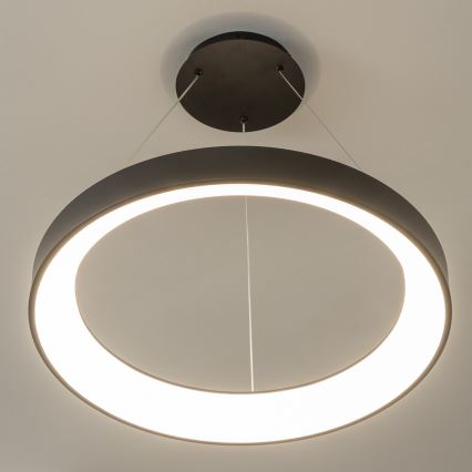 Brilagi - Lustra LED dimabilă pe cablu FALCON II LED/99W/230V 3000-6500K Ø 60 cm neagră + telecomandă