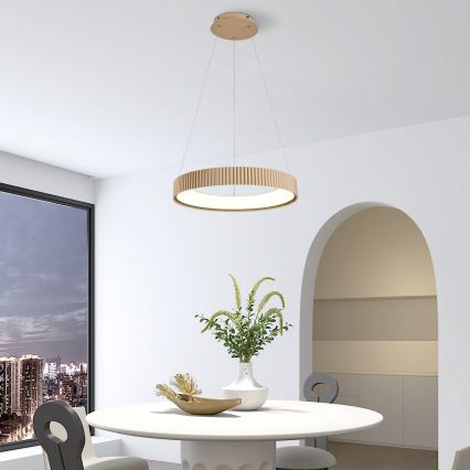 Brilagi - Lustra LED dimabilă suspendată pe cablu FALCON MODERN LED/30W/230V 3000-6500K 40 cm bej + telecomandă