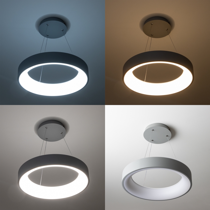 Brilagi - Lampă suspendată LED dimmabilă pe cablu FALCON LED/40W/230V 3000-6500K Ø45 cm gri + telecomandă