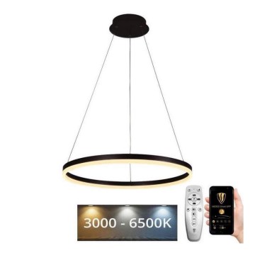 Brilagi - Lustră LED dimabilă suspendată pe cablu CIRCLE, 42 W, 230 V, 3000–6500 K, Ø 60 cm + telecomandă