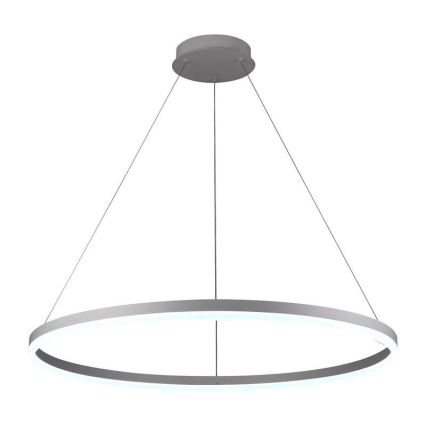 Brilagi - Lustra LED reglabilă suspendată pe cablu CIRCLE LED/55W/230V 3000-6500K + telecomandă