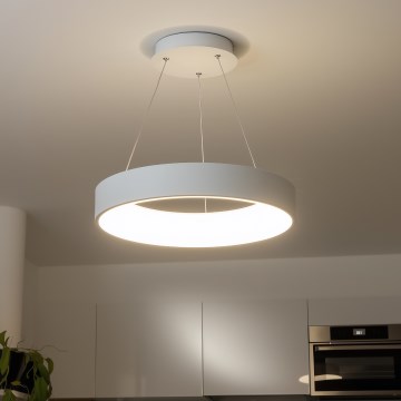 Brilagi - Lustră LED dimabilă suspendată pe cablu FALCON LED/80W/230V 3000-6500K diametru 60 cm albă + telecomandă