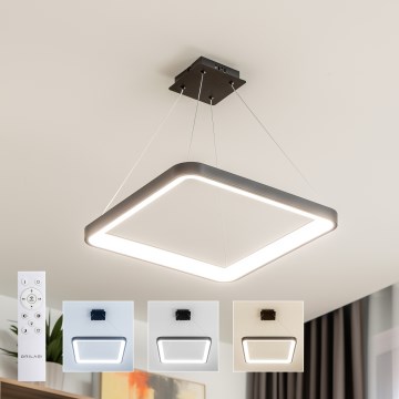 Brilagi - Lustră LED dimabilă suspendată pe cablu FALCON SLIM LED/50W/230V 3000-6500K 50x50 cm neagră + telecomandă