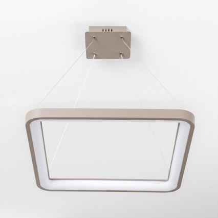 BRILAGI - LED lustra dimabilă pe cablu FALCON SLIM LED/50W/230V 3000-6500K 50x50 cm bej + telecomandă