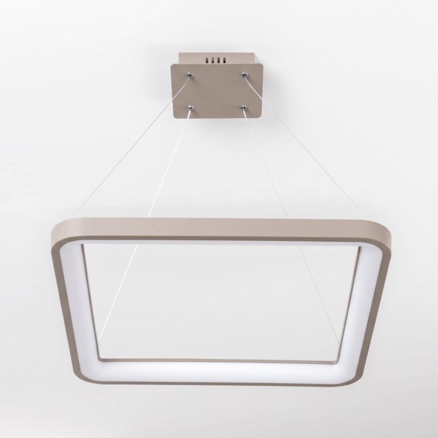 BRILAGI - LED lustra dimabilă pe cablu FALCON SLIM LED/50W/230V 3000-6500K 50x50 cm bej + telecomandă