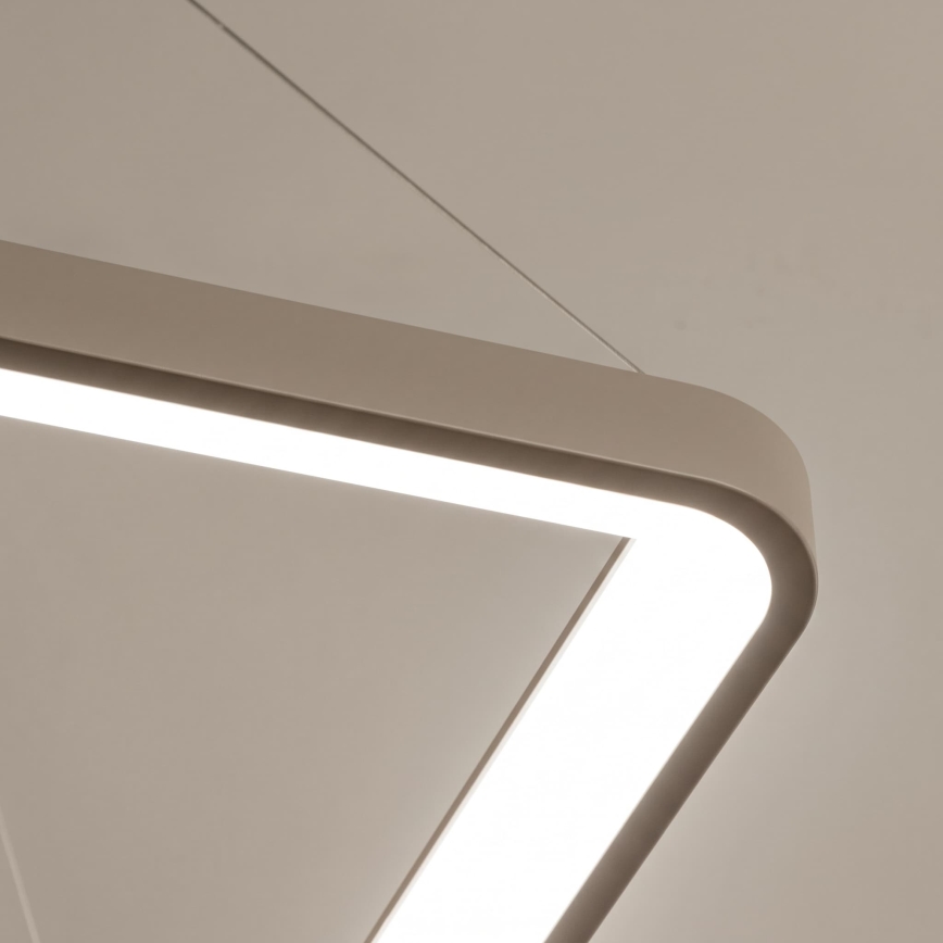 BRILAGI - LED lustra dimabilă pe cablu FALCON SLIM LED/50W/230V 3000-6500K 50x50 cm bej + telecomandă