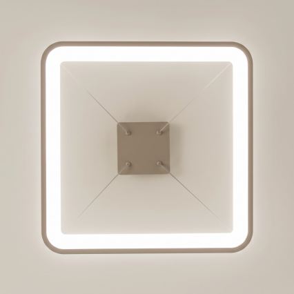 BRILAGI - LED lustra dimabilă pe cablu FALCON SLIM LED/50W/230V 3000-6500K 50x50 cm bej + telecomandă