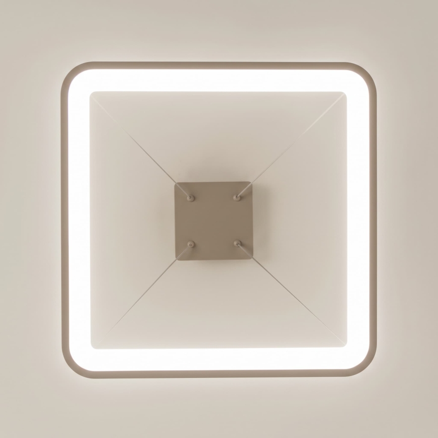 BRILAGI - LED lustra dimabilă pe cablu FALCON SLIM LED/50W/230V 3000-6500K 50x50 cm bej + telecomandă