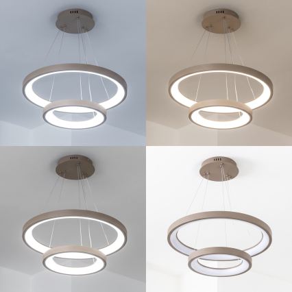 BRILAGI - Lustră LED reglabilă suspendată pe cablu FALCON SLIM LED/68W/230V 3000-6500K Ø 50 cm bej + telecomandă