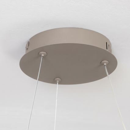 BRILAGI - Lustră LED reglabilă pe cablu FALCON II LED/67W/230V 3000-6500K Ø 40 cm bej + telecomandă