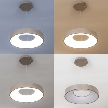 BRILAGI - Lustră LED reglabilă pe cablu FALCON II LED/67W/230V 3000-6500K Ø 40 cm bej + telecomandă