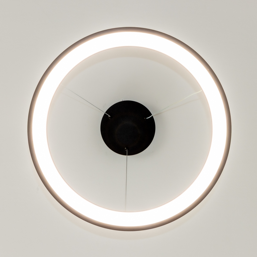 Brilagi - Lustră LED dimabilă pe cablu FALCON SLIM LED/42W/230V 3000-6500K Ø 50 cm neagră + telecomandă