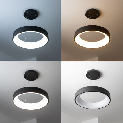 Brilagi - Lustră LED dimmabilă suspendată pe cablu FALCON LED/80W/230V 3000-6500K Ø60 cm negru + telecomandă