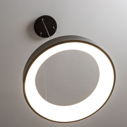 Brilagi - Lustră LED dimmabilă suspendată pe cablu FALCON LED/80W/230V 3000-6500K Ø60 cm negru + telecomandă