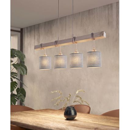 Brilagi - Lustră LED pe cablu NUBILA, 4 x E27, max. 60 W, 230 V, gri