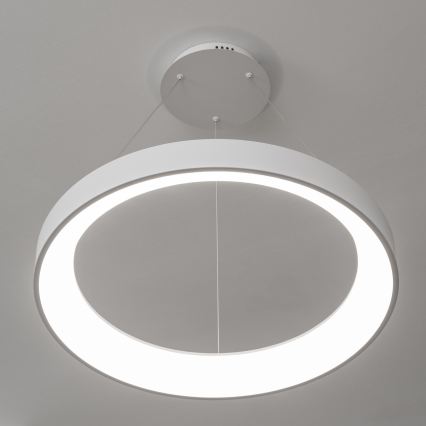 BRILAGI - lustra LED reglabilă suspendată pe cablu FALCON II LED/99W/230V 3000-6500K Ø 60 cm albă + telecomandă