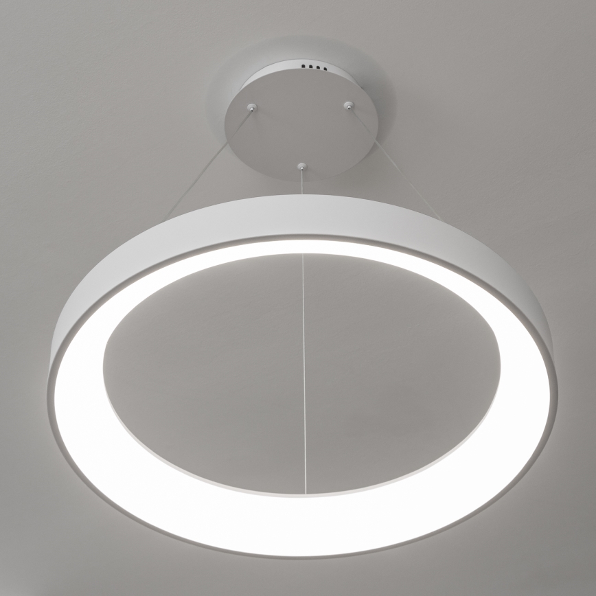 BRILAGI - lustra LED reglabilă suspendată pe cablu FALCON II LED/99W/230V 3000-6500K Ø 60 cm albă + telecomandă