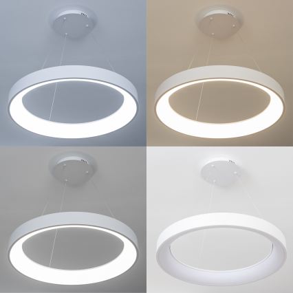 BRILAGI - lustra LED reglabilă suspendată pe cablu FALCON II LED/99W/230V 3000-6500K Ø 60 cm albă + telecomandă