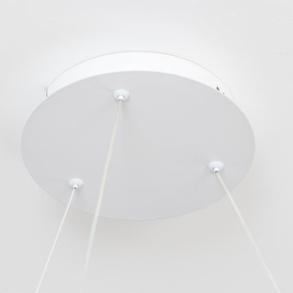 BRILAGI - lustra LED reglabilă suspendată pe cablu FALCON II LED/99W/230V 3000-6500K Ø 60 cm albă + telecomandă