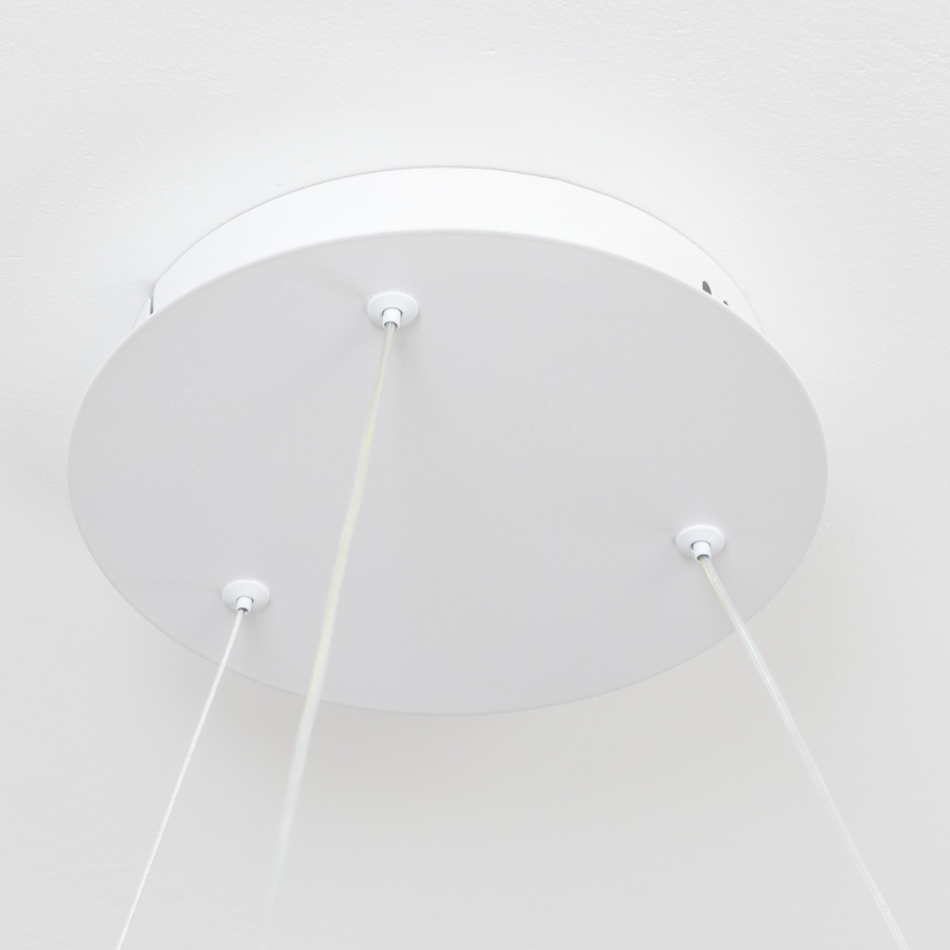 BRILAGI - lustra LED reglabilă suspendată pe cablu FALCON II LED/99W/230V 3000-6500K Ø 60 cm albă + telecomandă