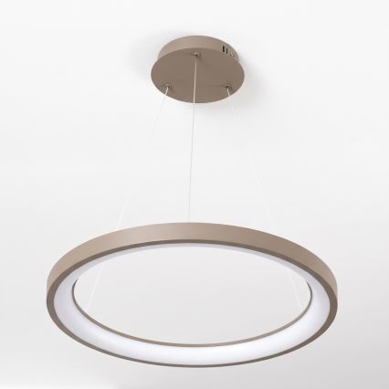 BRILAGI - Lustru LED reglabil suspendat pe cablu FALCON SLIM LED/42W/230V 3000-6500K Ø 50 cm bej + cu telecomandă