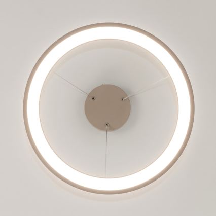 BRILAGI - Lustru LED reglabil suspendat pe cablu FALCON SLIM LED/42W/230V 3000-6500K Ø 50 cm bej + cu telecomandă