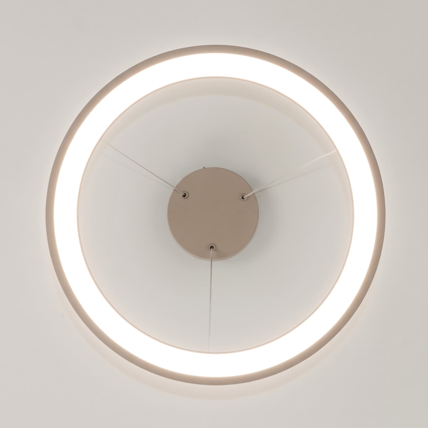 BRILAGI - Lustru LED reglabil suspendat pe cablu FALCON SLIM LED/42W/230V 3000-6500K Ø 50 cm bej + cu telecomandă