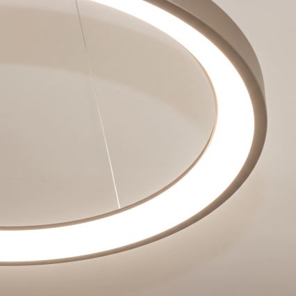 BRILAGI - Lustru LED reglabil suspendat pe cablu FALCON SLIM LED/42W/230V 3000-6500K Ø 50 cm bej + cu telecomandă