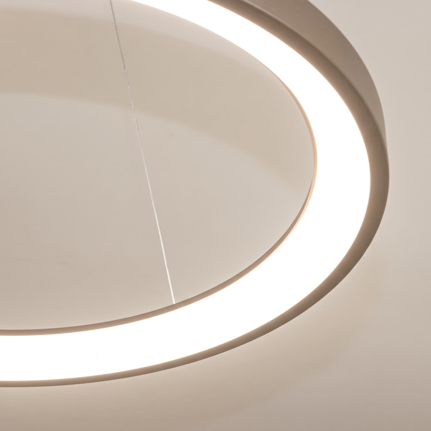 BRILAGI - Lustru LED reglabil suspendat pe cablu FALCON SLIM LED/42W/230V 3000-6500K Ø 50 cm bej + cu telecomandă