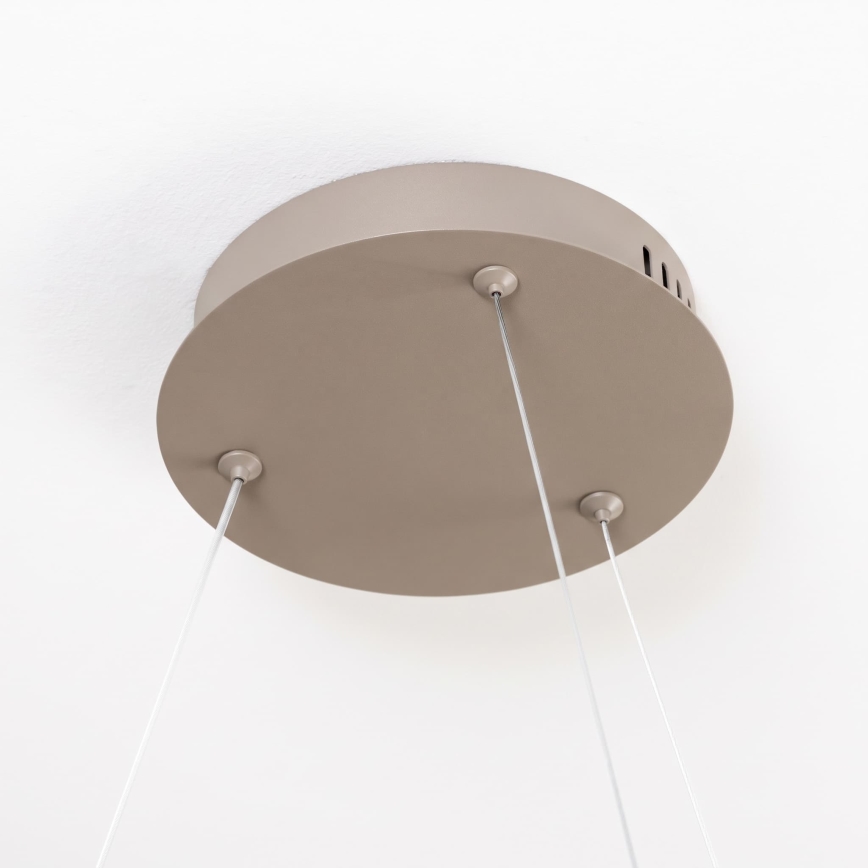 BRILAGI - Lustru LED reglabil suspendat pe cablu FALCON SLIM LED/42W/230V 3000-6500K Ø 50 cm bej + cu telecomandă
