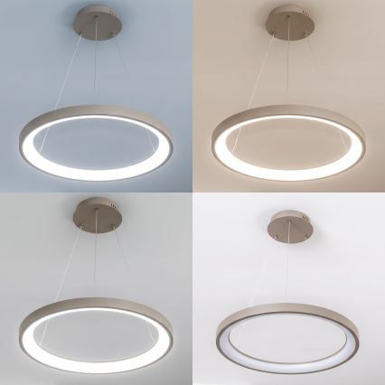 BRILAGI - Lustru LED reglabil suspendat pe cablu FALCON SLIM LED/42W/230V 3000-6500K Ø 50 cm bej + cu telecomandă