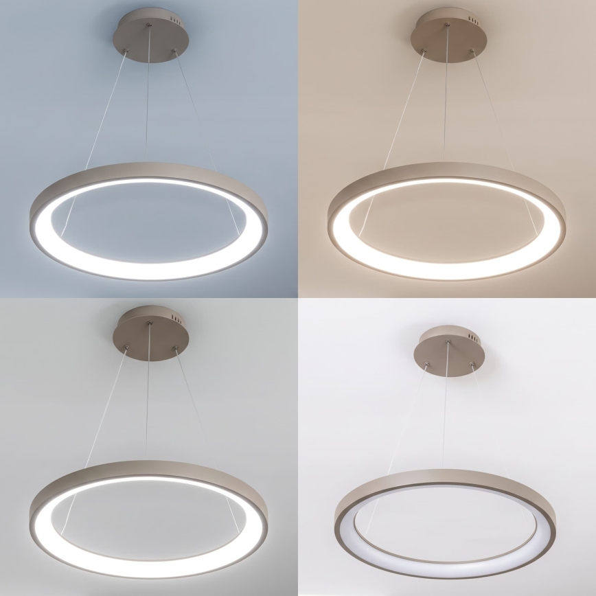 BRILAGI - Lustru LED reglabil suspendat pe cablu FALCON SLIM LED/42W/230V 3000-6500K Ø 50 cm bej + cu telecomandă