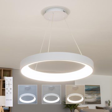 Brilagi - lustra LED reglabilă suspendată pe cablu FALCON II LED/99W/230V 3000-6500K Ø 60 cm albă + telecomandă