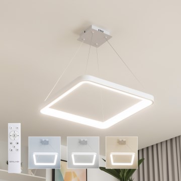 Brilagi - Lustra LED reglabilă suspendată pe cablu FALCON SLIM LED/50W/230V 3000-6500K 50x50 cm albă + telecomandă