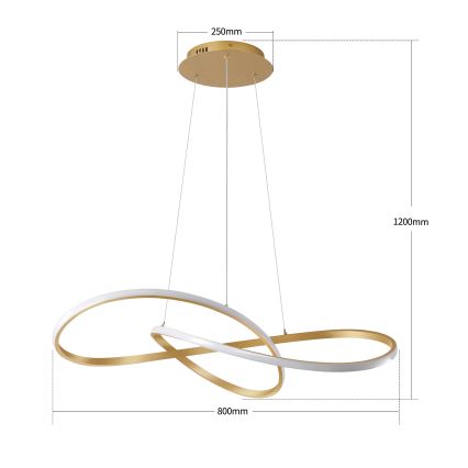 Brilagi - Lustru LED reglabil suspendat pe cablu INFINITY LED/80W/230V 3000-6000K 80x80 cm auriu + cu telecomandă