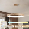 BRILAGI - Lustră LED suspendată pe cablu FALCON WOOD, 60W, 230V, 3000/4000/6000K, Ø 80 cm, lemn
