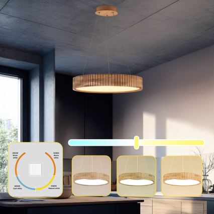 Brilagi - Lustră LED suspendată pe cablu FALCON WOOD MODERN, LED/30W/230V, 3000/4000/6000K, diametru 45 cm, lemn