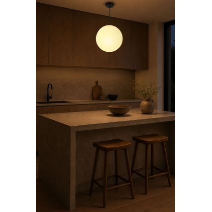 BRILAGI - Lustră pe cablu POLOS 1xE27/40W/230V Ø 30 cm negru
