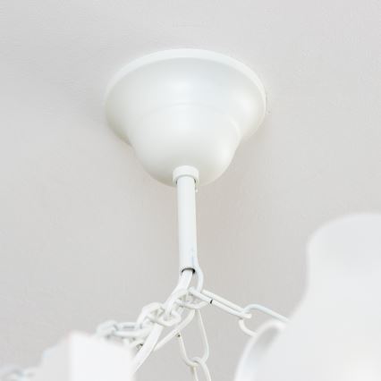 Brilagi - Lustră suspendată cu lanț QUEEN 8xE14/40W/230V fag/crem